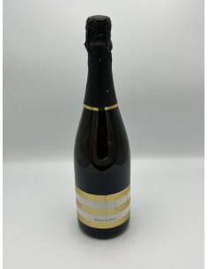 RIPABASSA BRUT VILLA RAIANO...
