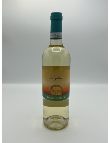 ZIBIBBO LIGHEA DONNAFUGATA