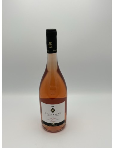 SCALABRONE ROSE' 2023 BOLGHERI ANTINORI