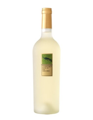 FIANO DI AVELLINO CAMPANARO FEUDI SAN GREGORIO 2019