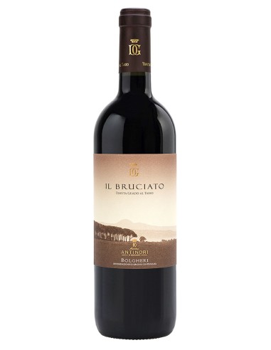 IL BRUCIATO BOLGHERI 2024 ANTINORI