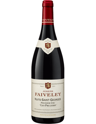 NUITS SAINT GEORGES PREMIER CRU LES PRULIERS 2019