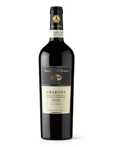 AMARONE DELLA VALPOLICELLA  ANTONIO CASTAGNEDI 2019