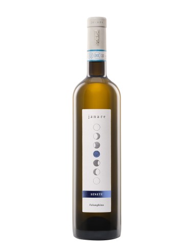 FALNGHINA DEL SANNIO SENETE MAGNUM 1,5 LT.