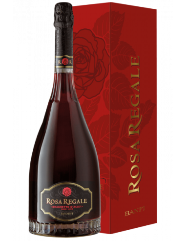 ROSA REGALE BRACHETTO MAGNUM