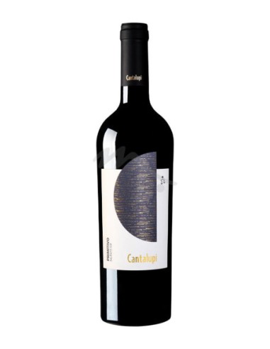 PRIMITIVO SALENTO 2021 CANTALUPI