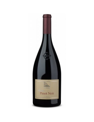 PINOT NOIR 2024 TERLAN