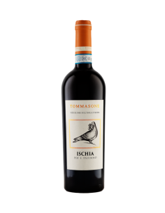 PER ' E PALUMMO ISCHIA...