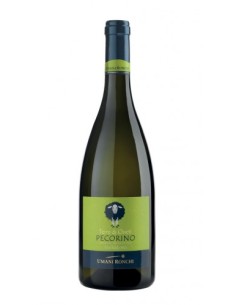 TERRE DI CHIETI 2023...