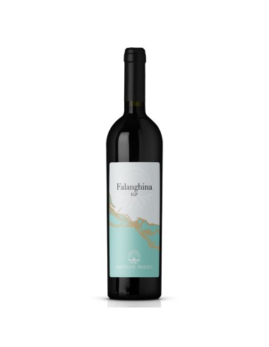 FALANGHINA IGP ANTICHE RADICI