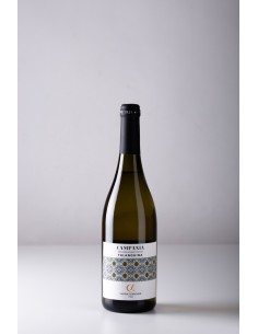 FALANGHINA IGP CANTINE...