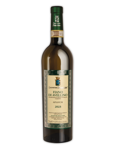 FIANO DI AVELLINO APIANUM 2023 MOLETTIERI
