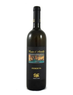 FIOR D'UVA 2023 MARISA CUOMO