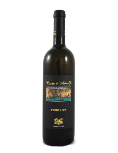 FIOR D'UVA 2023 MARISA CUOMO FIOR D'UVA 2023 MARISA CUOMO