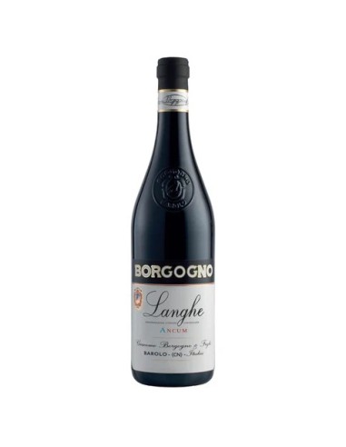DOLCETTO 2023 ANCUM BORGOGNO