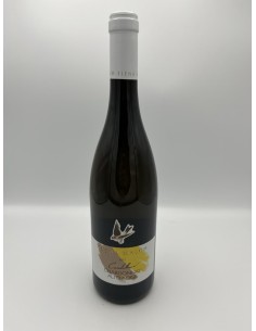 CHARDONNAY 2023 CARDELLINO...