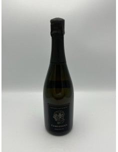 FRANCIACORTA CAMILUCCI BRUT...