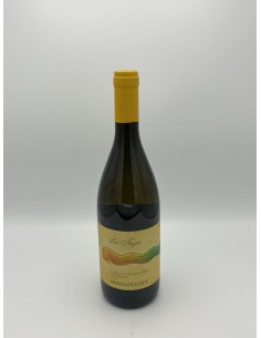 LA FUGA CONTESSA ENTELLINA...