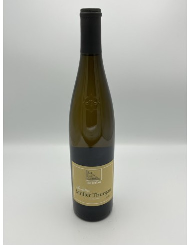 MULLER THURGAU TERLAN