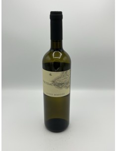 PIETRAINCATENATA 2023 FIANO