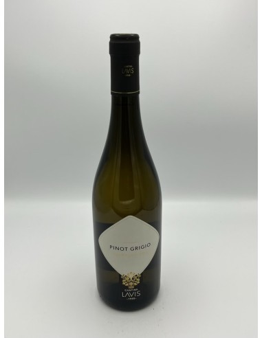 PINOT GRIGIO TRENTINO DOC CANTINA LAVIS 2020