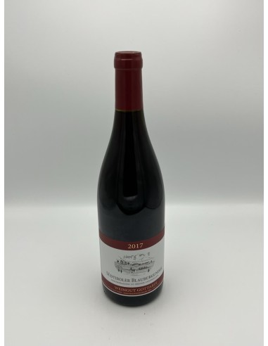 PINOT NERO 2017 GOTTARDI